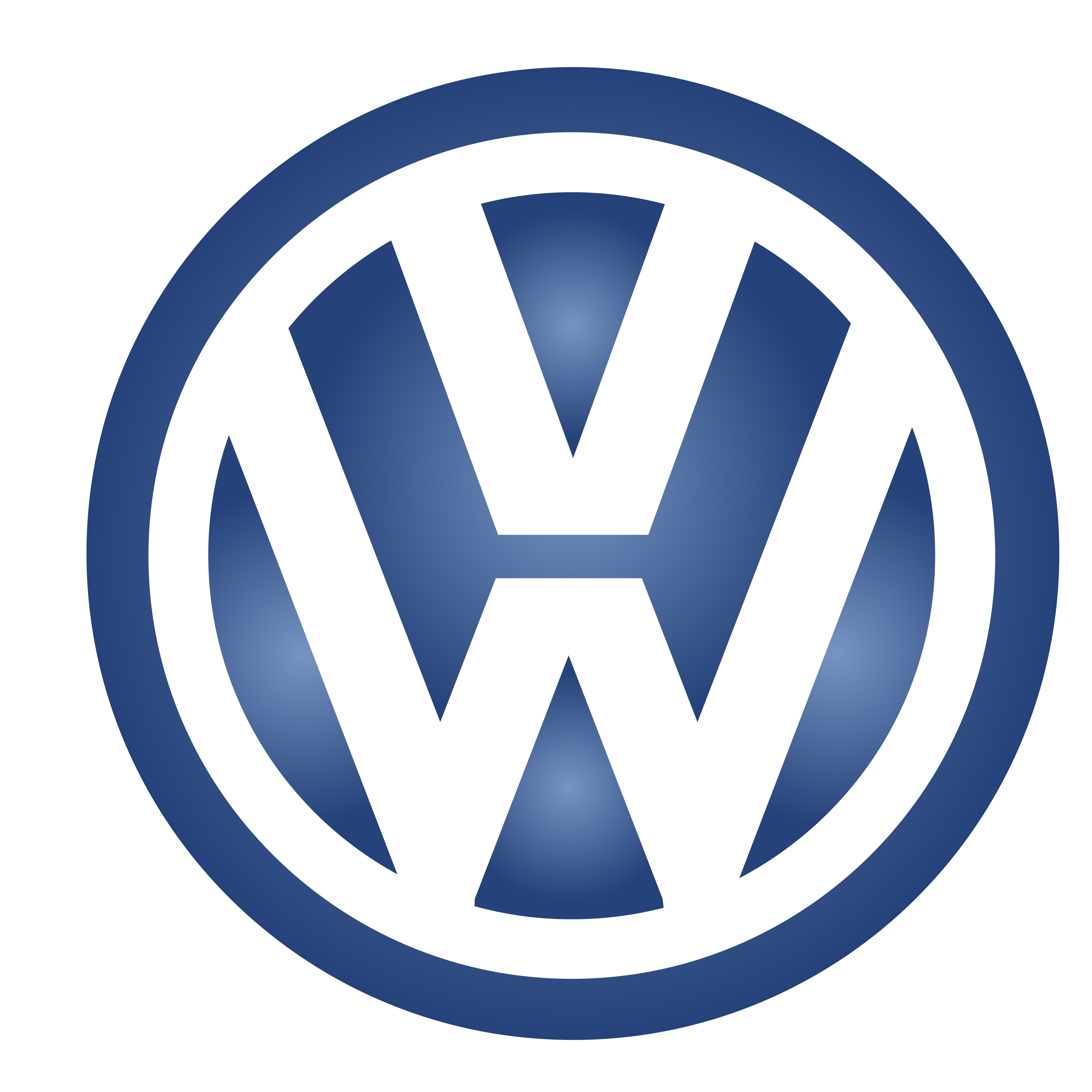 Logo VW - reparații injectoare DPF VW Arad ALGITEHNIC